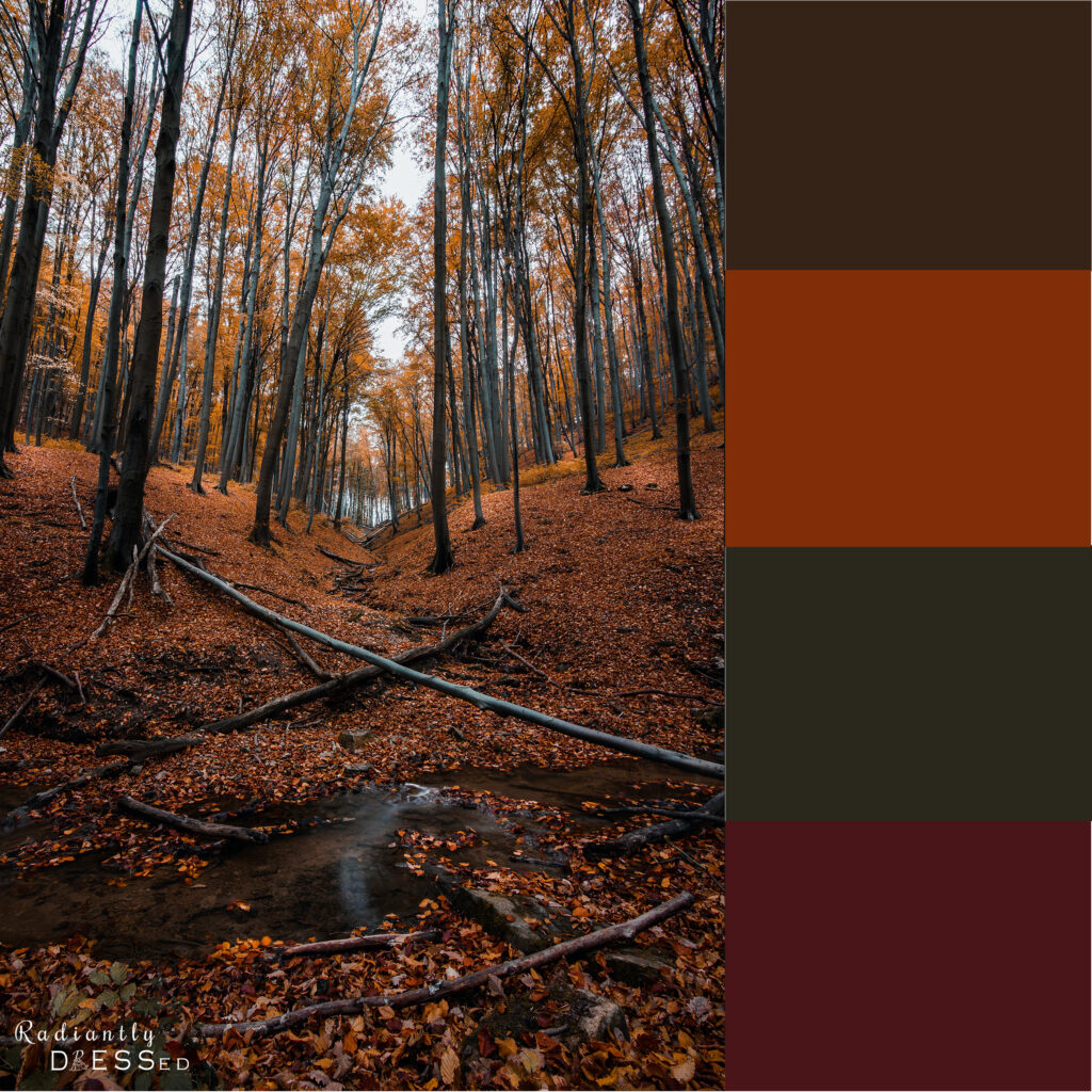 Fall Forest colors