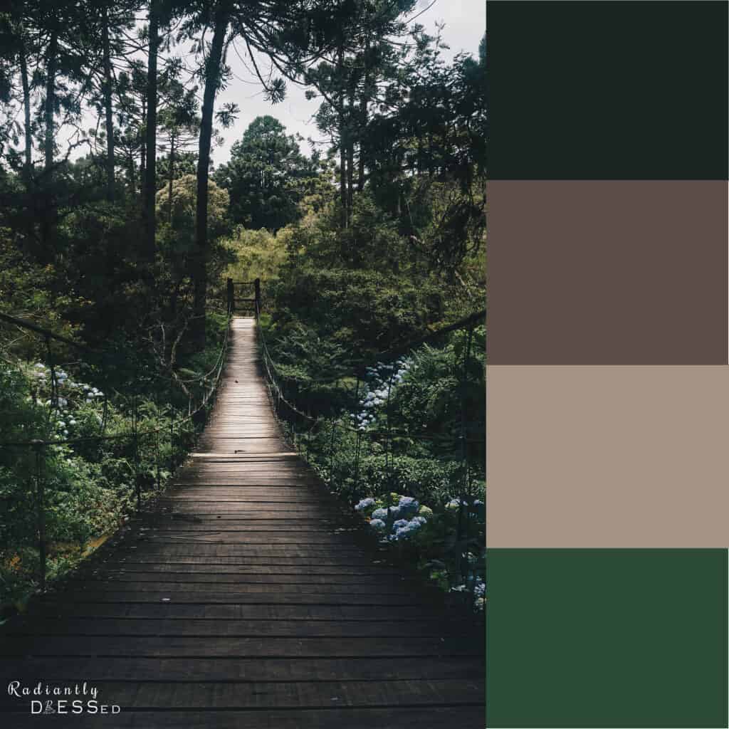 Dark Green Color Palette