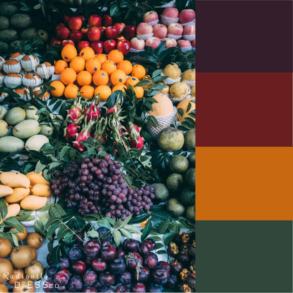 Harvest vegetables colors