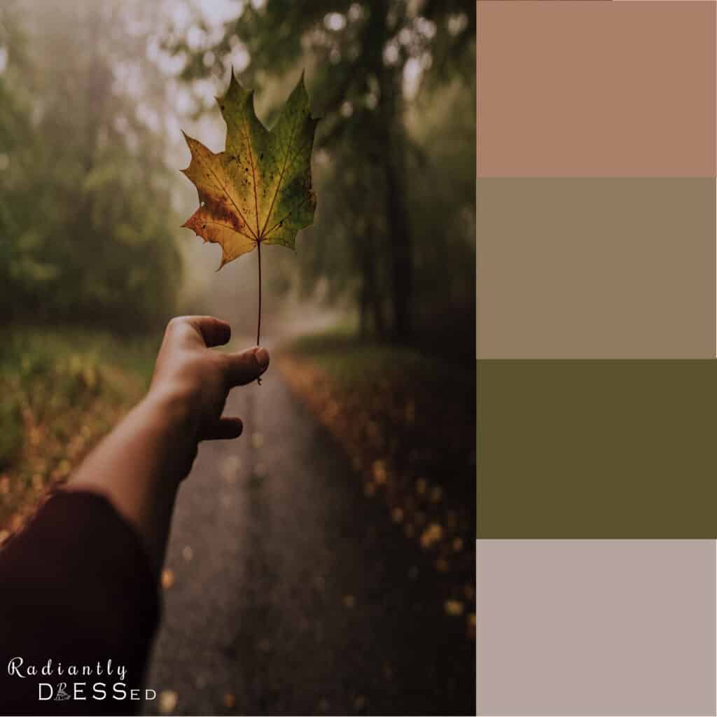 All About Deep Autumn: Explore The 12 Seasons At Radiantly, 44% OFF