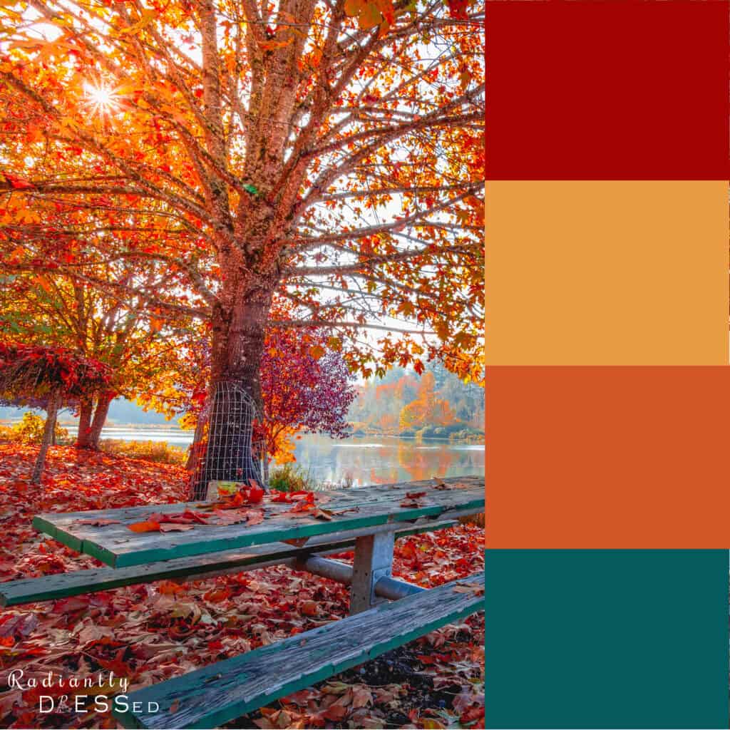 Autumn Color Analysis  Are You an Autumn? Explore the Palette