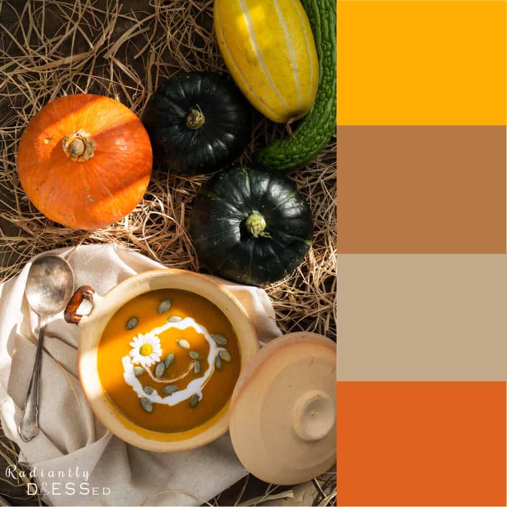Pumpkin Colors