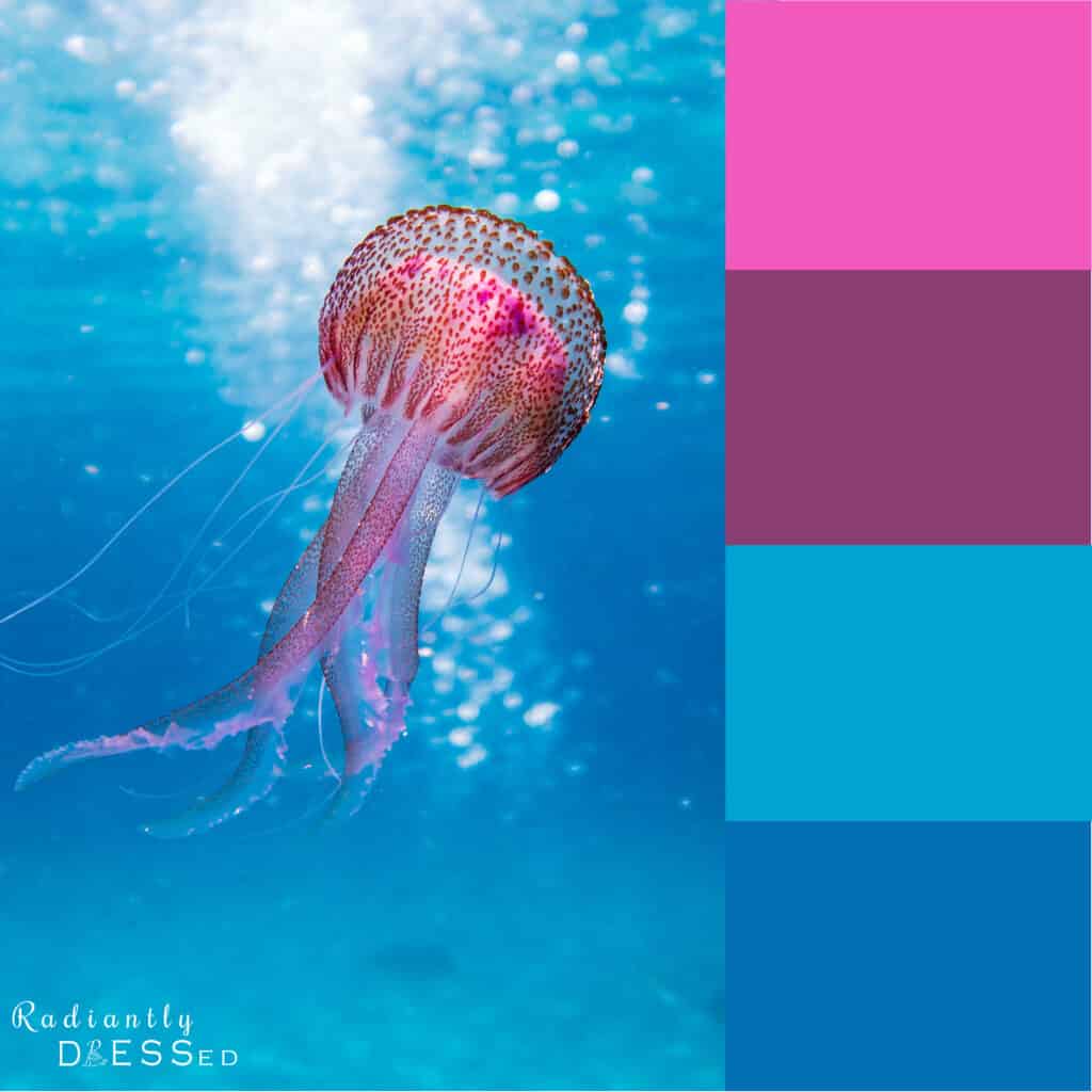 Jellyfish Colors