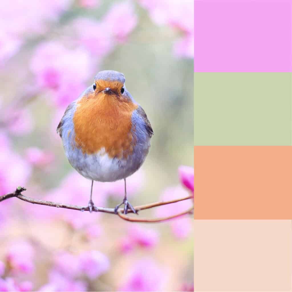 Springtime bird colors.