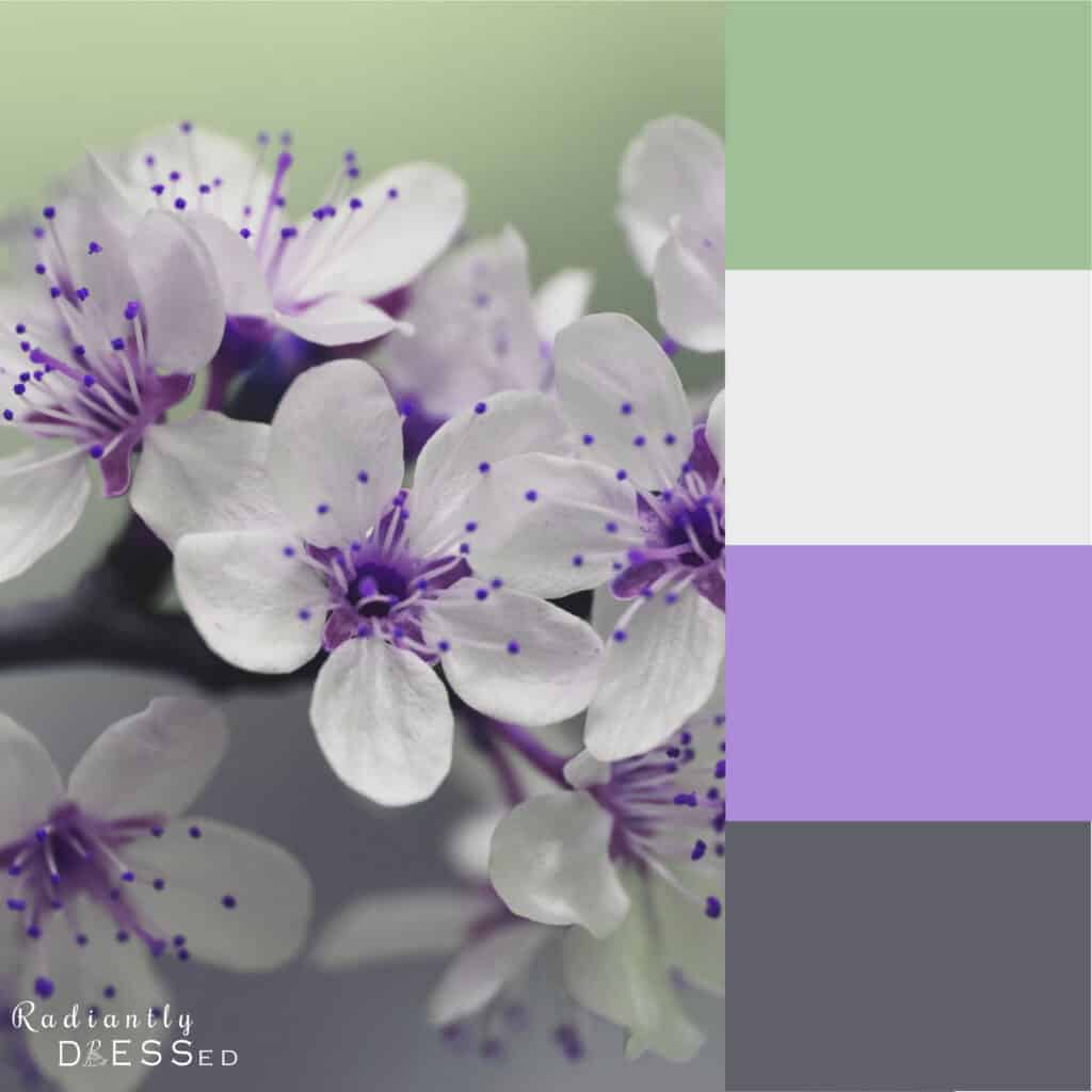 Purple Flowers Colors