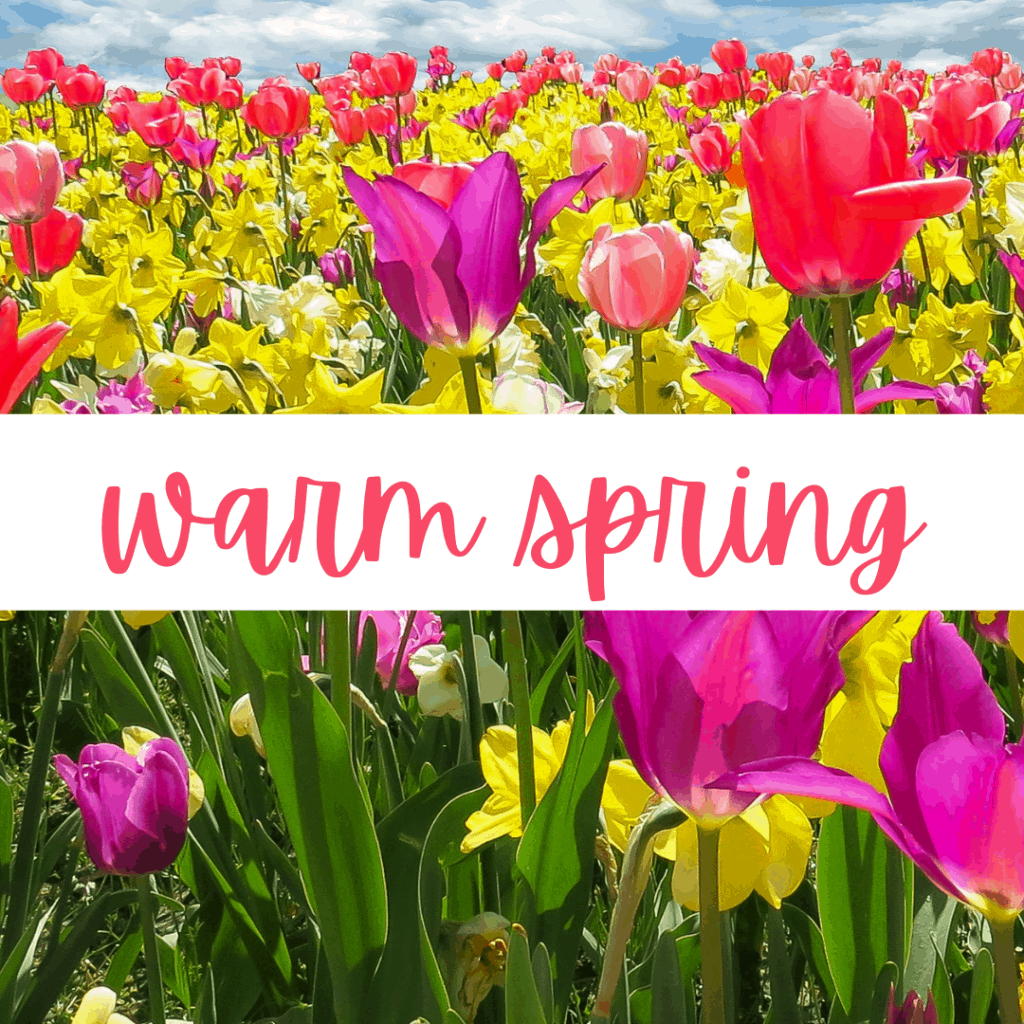 Warm Spring - Explore the 12 Seasons