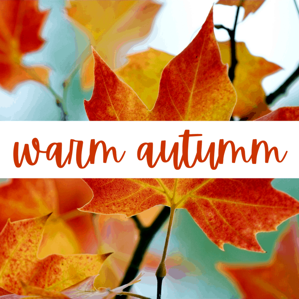 Warm Autumn - Explore the 12 Seasons