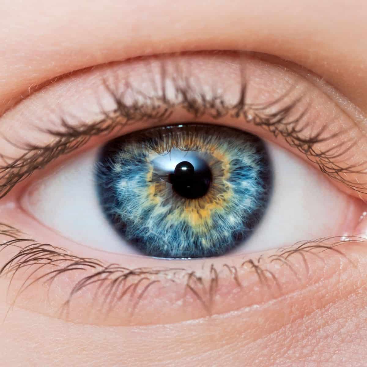Eye Patterns and Color Analysis
