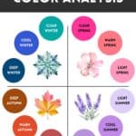 color analysis flow 12 seasons