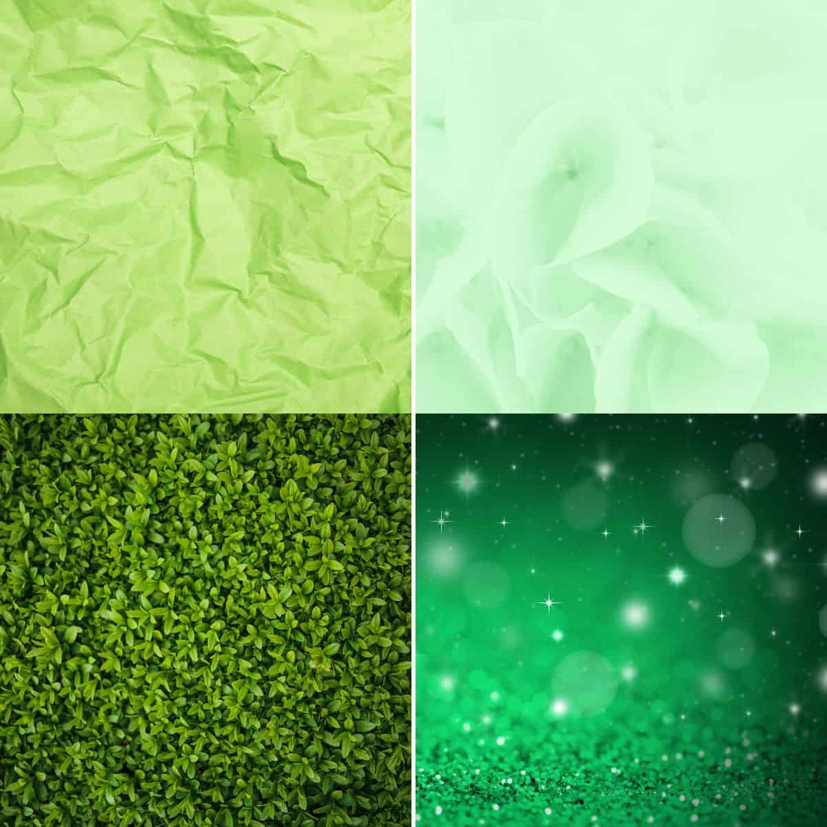 Green for Every Color Season – Find Your Perfect Shade of Green