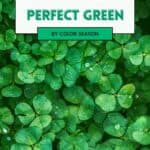 the perfect green for every color season