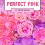 the perfect pink for every color season