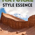 Natural Style Essence Guide